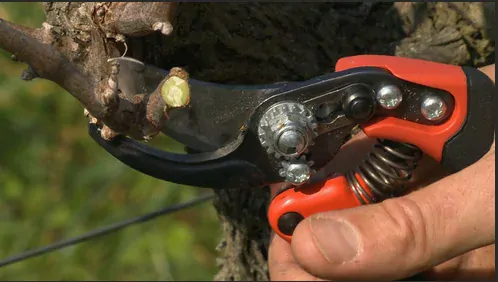 Zahradní nůžky PX-M2-L ERGO pro leváky